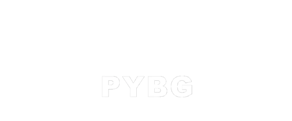 PYBG BlindSpot