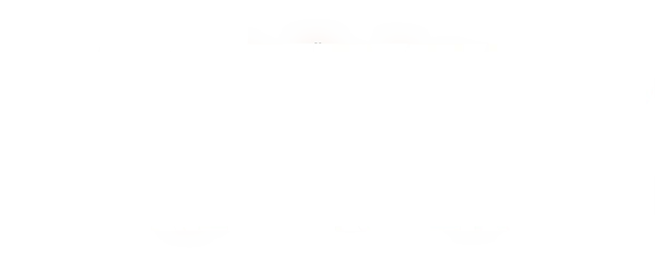 Arma Reforger